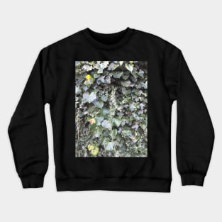 Ivy Crewneck Sweatshirt